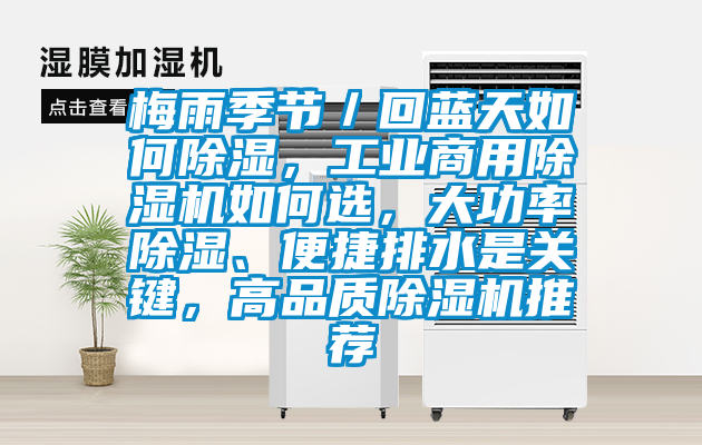 梅雨季節／回藍天如何除濕，工業商用除濕機如何選，大功率除濕、便捷排水是關鍵，高品質除濕機推薦