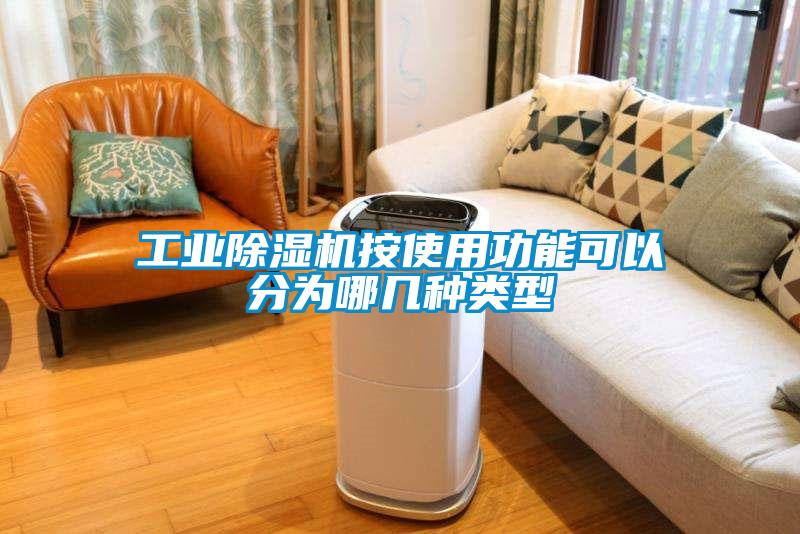 工業(yè)除濕機(jī)按使用功能可以分為哪幾種類(lèi)型