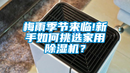 梅雨季節來臨!新手如何挑選家用除濕機？