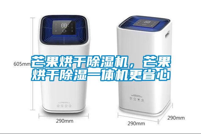 芒果烘干除濕機，芒果烘干除濕一體機更省心