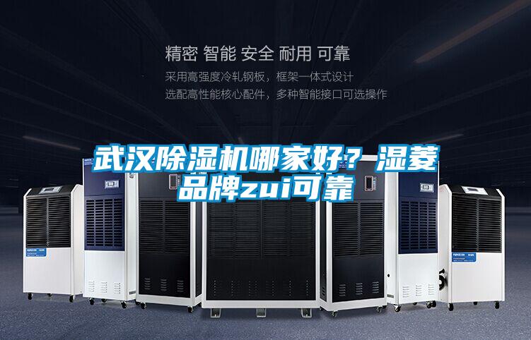武漢除濕機哪家好？濕菱品牌zui可靠