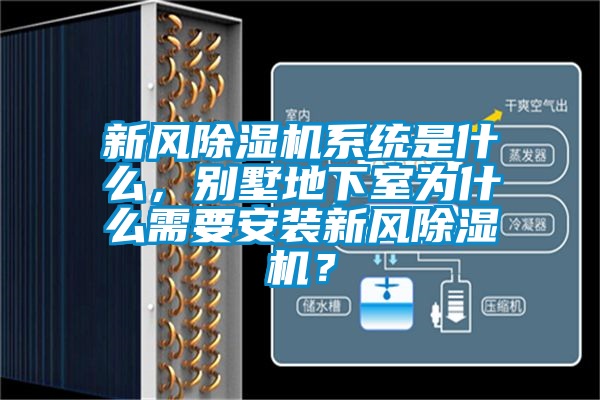 新風除濕機系統是什么，別墅地下室為什么需要安裝新風除濕機？