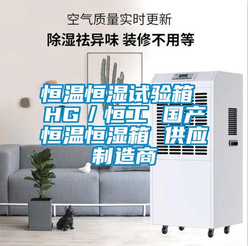 恒溫恒濕試驗箱 HG/恒工 國產(chǎn)恒溫恒濕箱 供應(yīng)制造商
