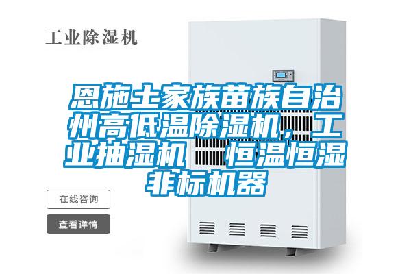 恩施土家族苗族自治州高低溫除濕機，工業抽濕機  恒溫恒濕非標機器