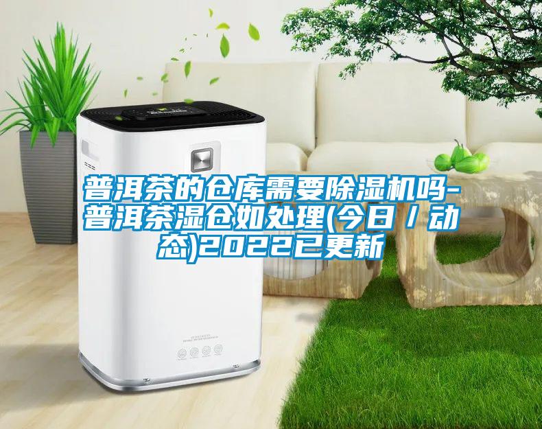 普洱茶的倉庫需要除濕機(jī)嗎-普洱茶濕倉如處理(今日／動(dòng)態(tài))2022已更新