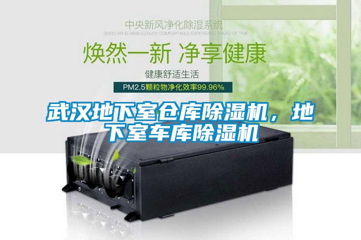 武漢地下室倉庫除濕機(jī)，地下室車庫除濕機(jī)