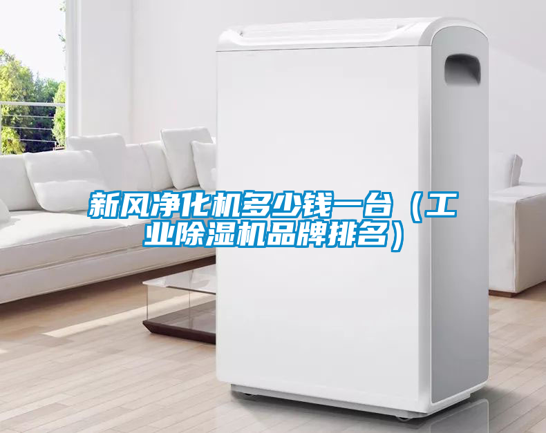 新風(fēng)凈化機(jī)多少錢(qián)一臺(tái)（工業(yè)除濕機(jī)品牌排名）