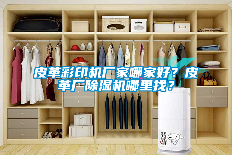 皮革彩印機廠家哪家好？皮革廠除濕機哪里找？