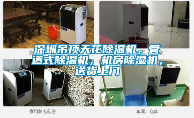 深圳吊頂天花除濕機，管道式除濕機，機房除濕機，送貨上門