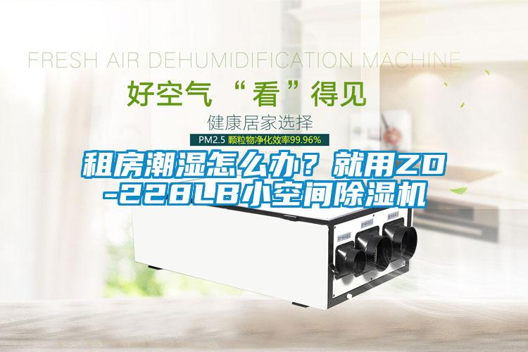 租房潮濕怎么辦？就用ZD-228LB小空間除濕機