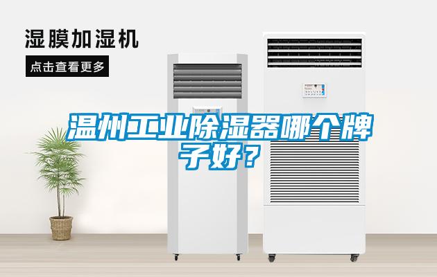 溫州工業(yè)除濕器哪個牌子好？