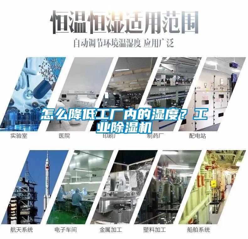 怎么降低工廠內的濕度？工業除濕機