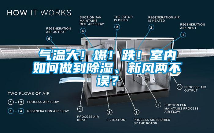 氣溫大！爆！跌！室內如何做到除濕、新風兩不誤？