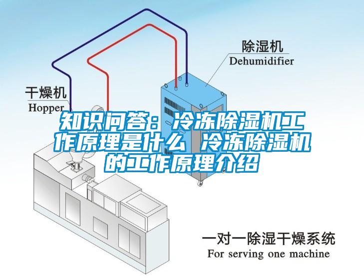 知識(shí)問答：冷凍除濕機(jī)工作原理是什么 冷凍除濕機(jī)的工作原理介紹