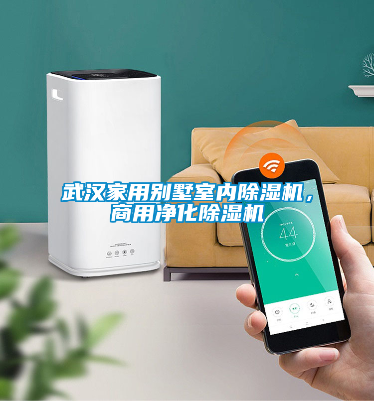 武漢家用別墅室內(nèi)除濕機，商用凈化除濕機