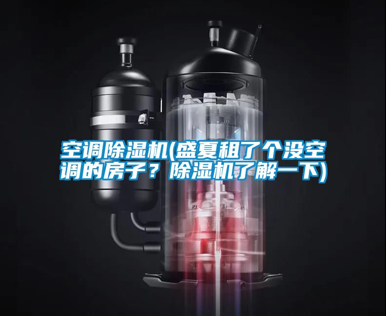 空調除濕機(盛夏租了個沒空調的房子？除濕機了解一下)