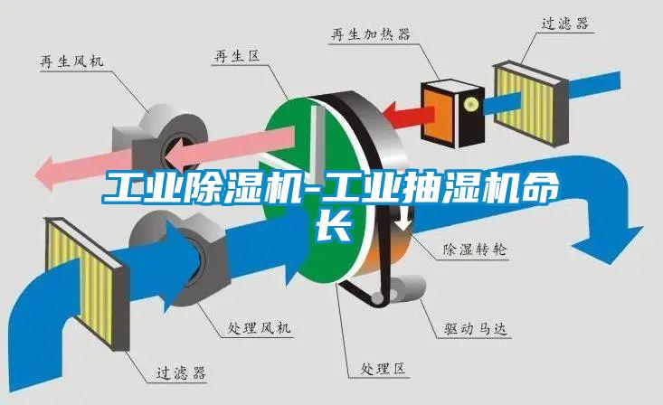 工業(yè)除濕機(jī)-工業(yè)抽濕機(jī)命長