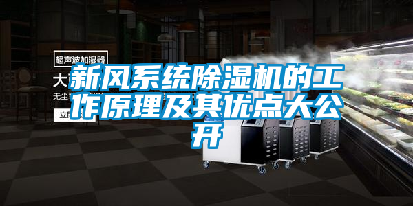 新風(fēng)系統(tǒng)除濕機(jī)的工作原理及其優(yōu)點(diǎn)大公開(kāi)