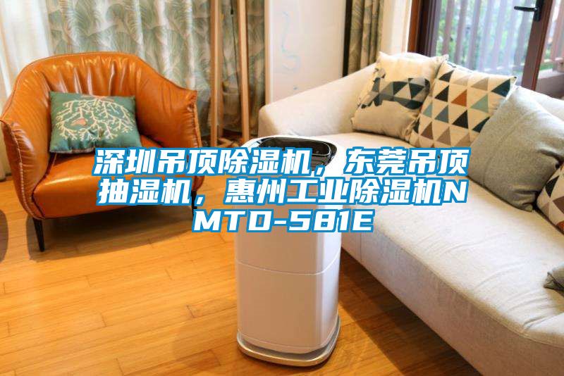 深圳吊頂除濕機，東莞吊頂抽濕機，惠州工業除濕機NMTD-581E