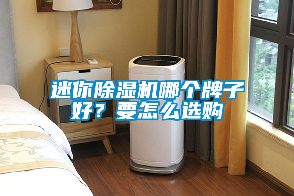迷你除濕機哪個牌子好？要怎么選購