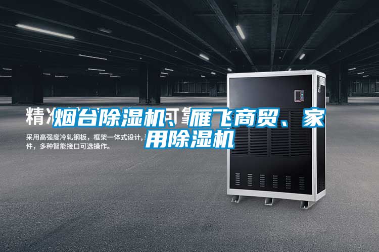 煙臺除濕機、雁飛商貿、家用除濕機