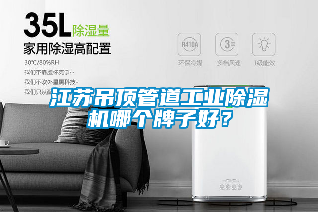 江蘇吊頂管道工業(yè)除濕機(jī)哪個(gè)牌子好？