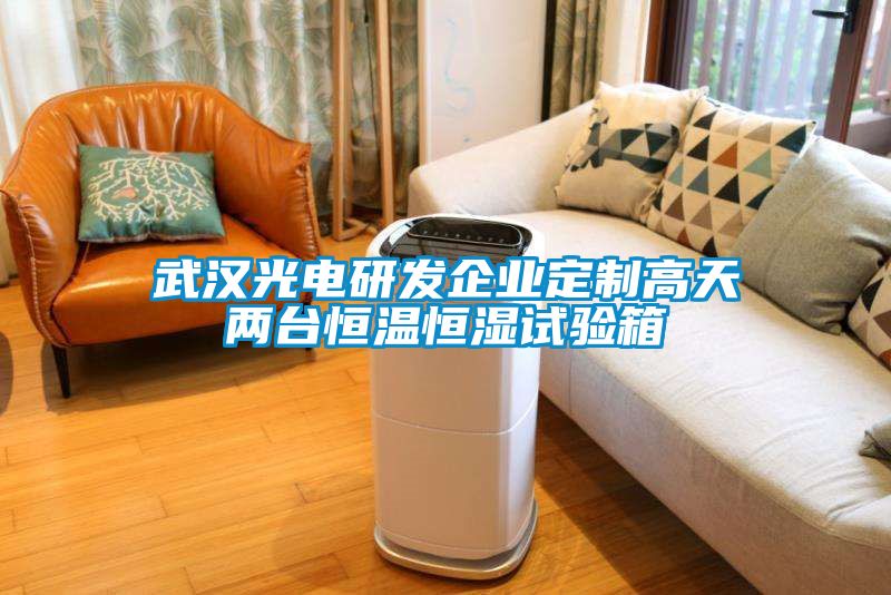 武漢光電研發(fā)企業(yè)定制高天兩臺恒溫恒濕試驗箱
