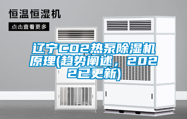 遼寧CO2熱泵除濕機原理(趨勢闡述，2022已更新)