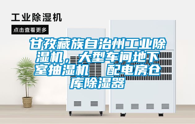 甘孜藏族自治州工業除濕機，大型車間地下室抽濕機  配電房倉庫除濕器