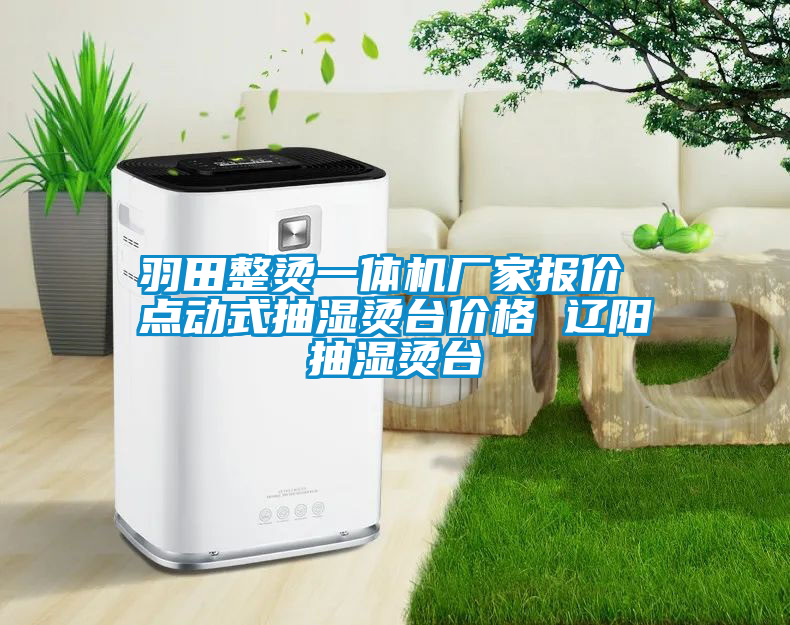 羽田整燙一體機(jī)廠家報(bào)價(jià) 點(diǎn)動(dòng)式抽濕燙臺(tái)價(jià)格 遼陽抽濕燙臺(tái)
