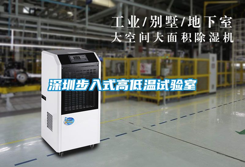 深圳步入式高低溫試驗(yàn)室