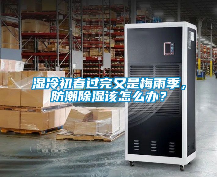濕冷初春過完又是梅雨季，防潮除濕該怎么辦？