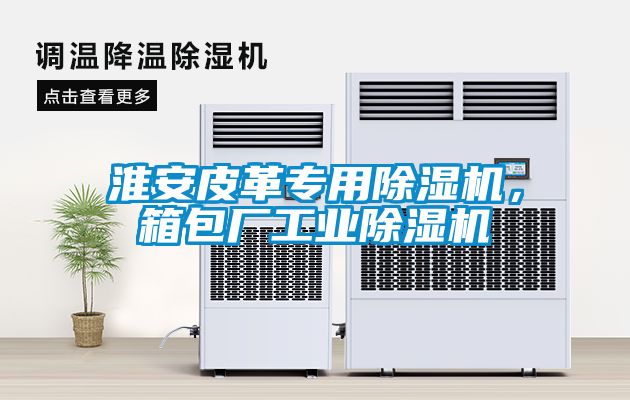 淮安皮革專用除濕機，箱包廠工業除濕機