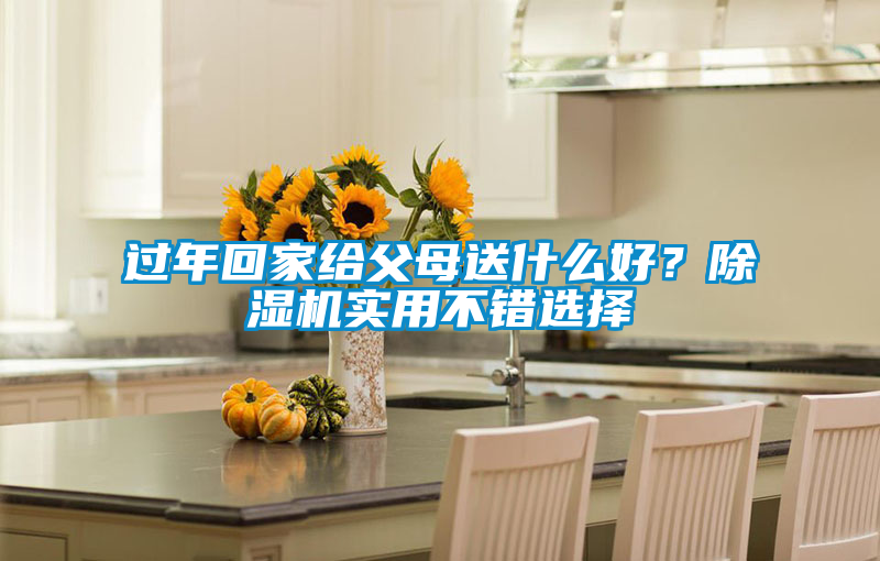 過年回家給父母送什么好？除濕機實用不錯選擇