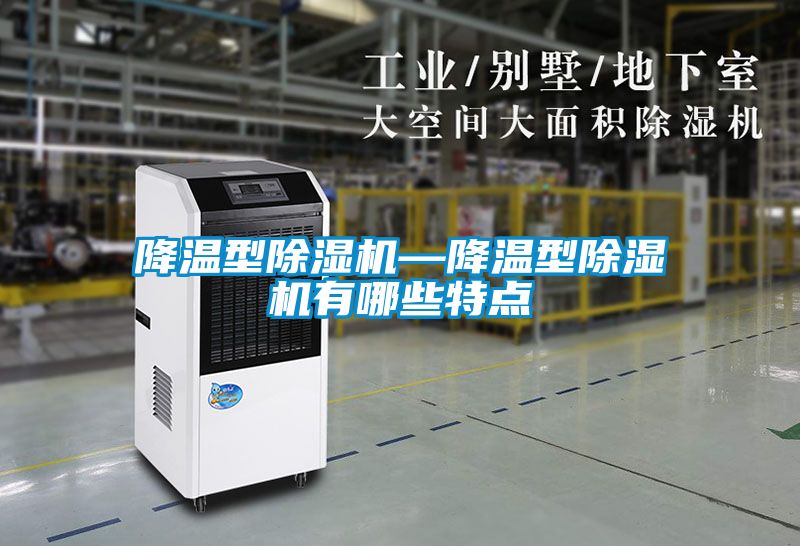 降溫型除濕機(jī)—降溫型除濕機(jī)有哪些特點