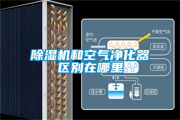 除濕機和空氣凈化器區(qū)別在哪里