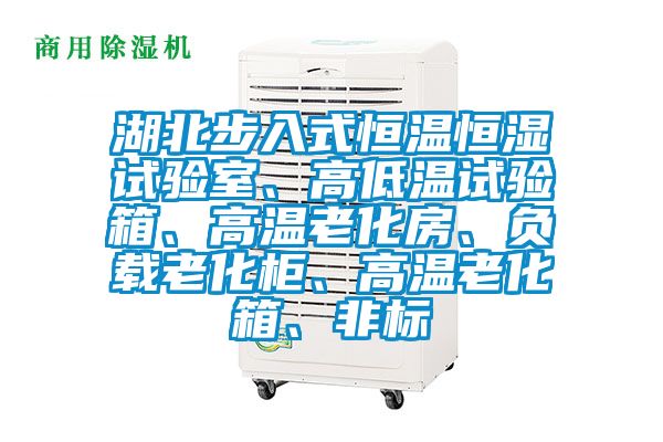湖北步入式恒溫恒濕試驗(yàn)室、高低溫試驗(yàn)箱、高溫老化房、負(fù)載老化柜、高溫老化箱、非標(biāo)