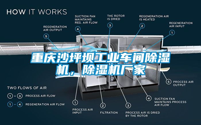 重慶沙坪壩工業(yè)車間除濕機(jī)，除濕機(jī)廠家