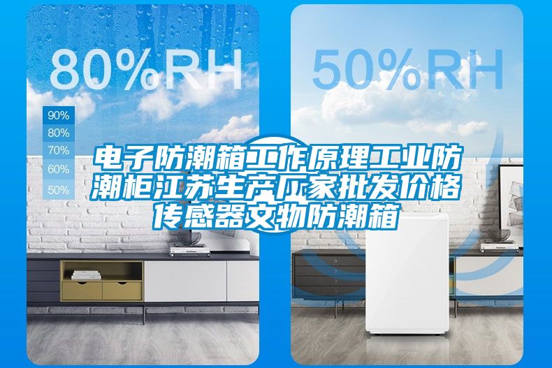 電子防潮箱工作原理工業防潮柜江蘇生產廠家批發價格傳感器文物防潮箱