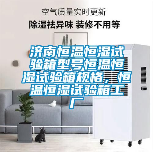 濟南恒溫恒濕試驗箱型號恒溫恒濕試驗箱規(guī)格,恒溫恒濕試驗箱工廠