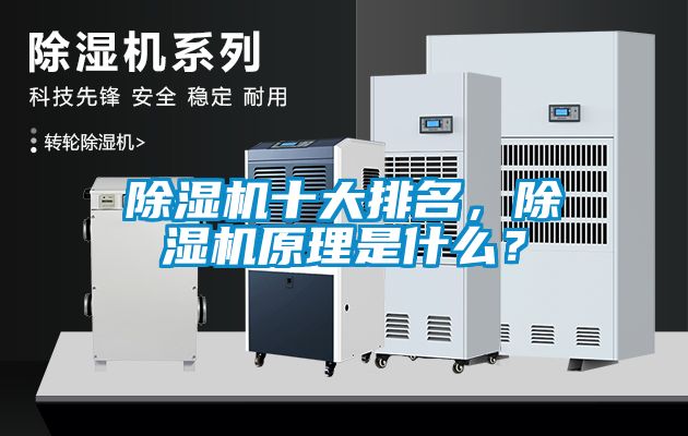 除濕機十大排名，除濕機原理是什么？