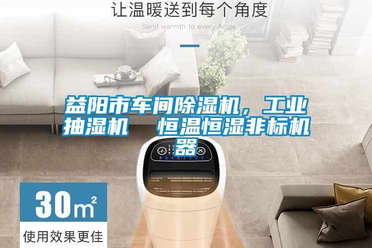 益陽市車間除濕機，工業抽濕機  恒溫恒濕非標機器