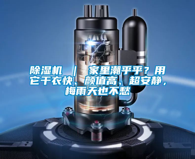 除濕機(jī) ｜ 家里潮乎乎？用它干衣快、顏值高、超安靜，梅雨天也不愁