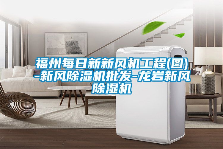 福州每日新新風機工程(圖)-新風除濕機批發(fā)-龍巖新風除濕機