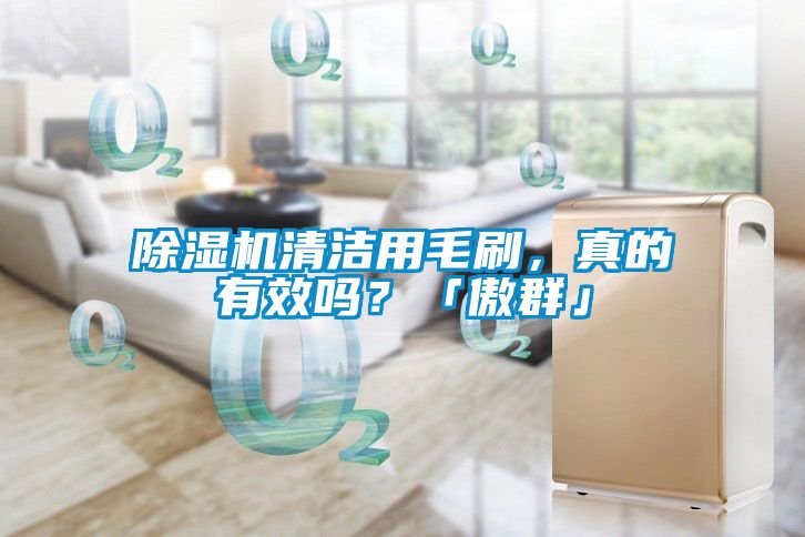 除濕機(jī)清潔用毛刷，真的有效嗎？「傲群」