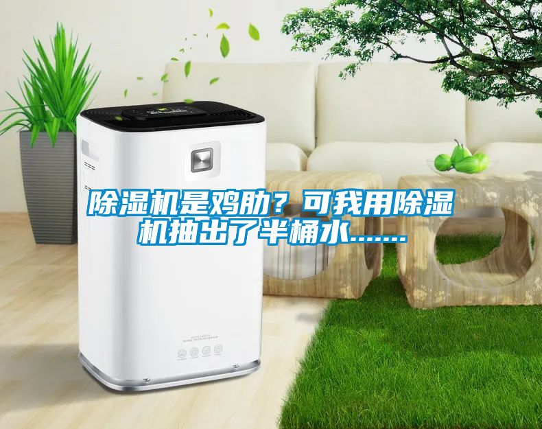 除濕機是雞肋？可我用除濕機抽出了半桶水.......