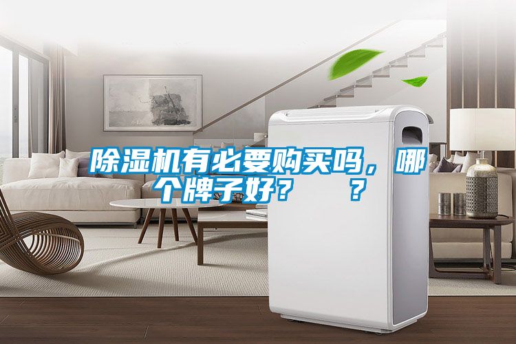 除濕機有必要購買嗎，哪個牌子好？  ？