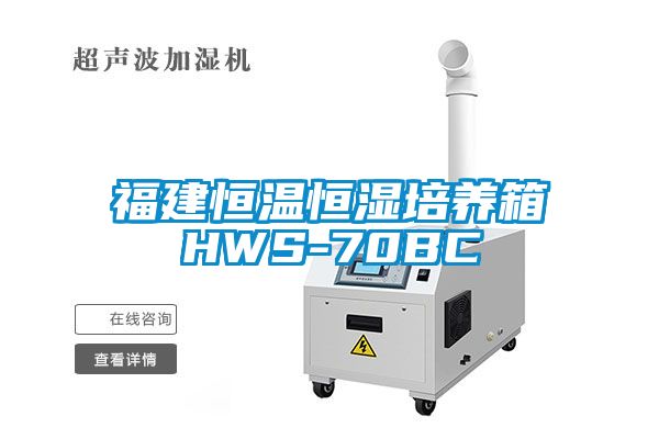 福建恒溫恒濕培養箱HWS-70BC