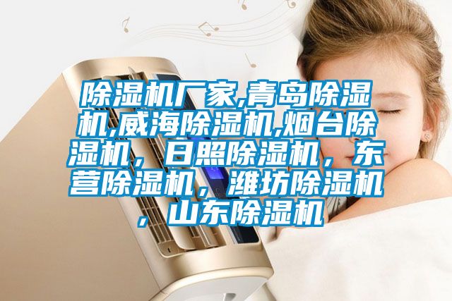 除濕機廠家,青島除濕機,威海除濕機,煙臺除濕機，日照除濕機，東營除濕機，濰坊除濕機，山東除濕機