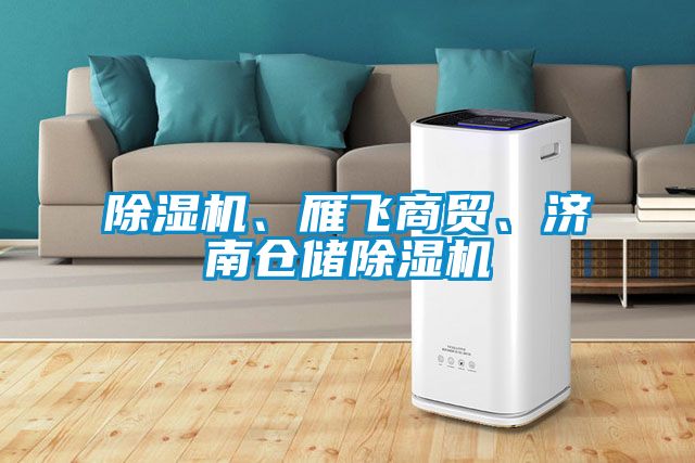 除濕機(jī)、雁飛商貿(mào)、濟(jì)南倉儲除濕機(jī)